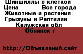 Шиншиллы с клеткой › Цена ­ 8 000 - Все города Животные и растения » Грызуны и Рептилии   . Калужская обл.,Обнинск г.